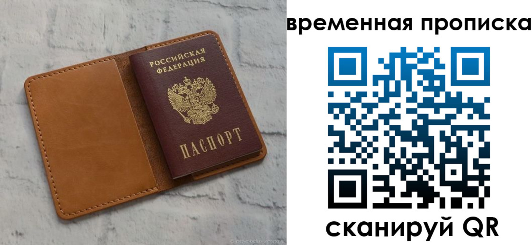 прописка поиск в Краснознаменске